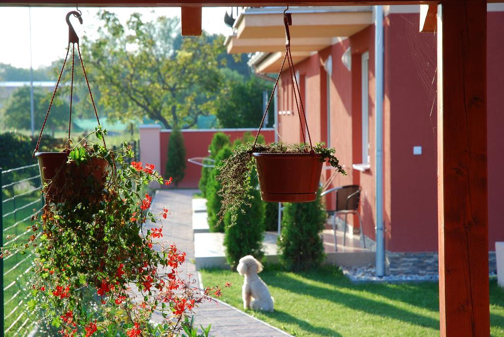 Fridrich apartman Veľký Meder Exterior foto